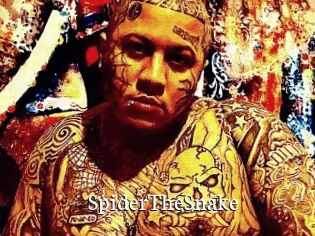 SpiderTheSnake
