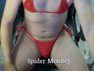 Spider_Monkey