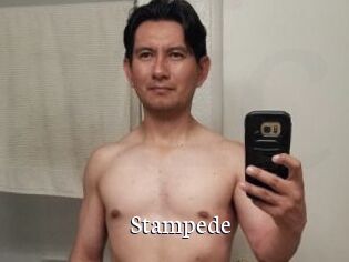 Stampede