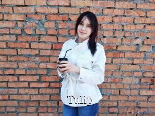 Tulip