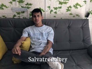 Salvatredelrey