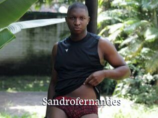Sandrofernandes