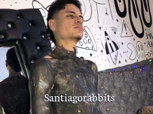 Santiagorabbits