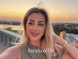 Sarahcollie