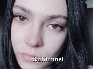 Saridunnel