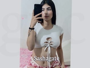 Sashagate
