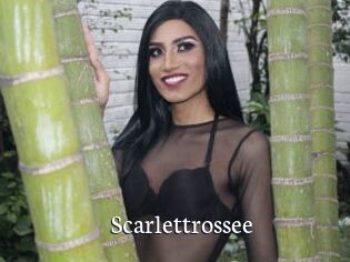 Scarlettrossee