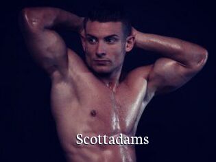 Scottadams