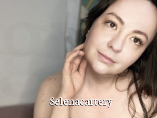 Selenacartery