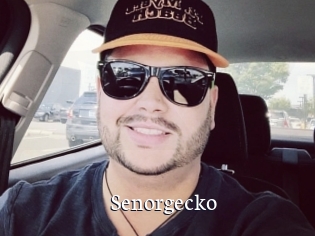 Senorgecko