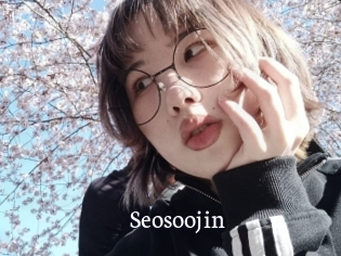 Seosoojin