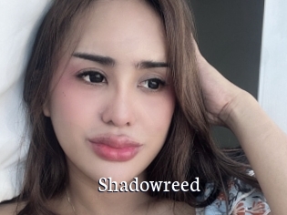 Shadowreed