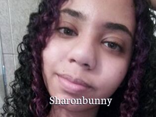 Sharonbunny