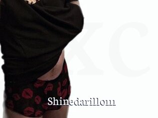 Shinedarillo111
