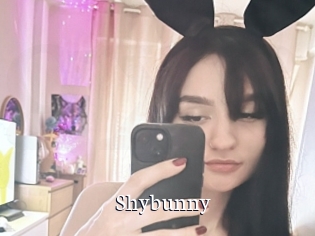 Shybunny