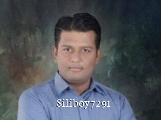 Siliboy7291