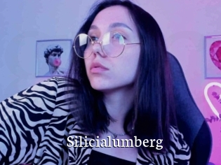 Silicialumberg