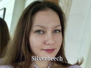 Silverbeech