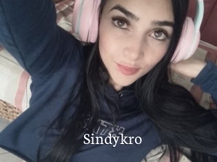 Sindykro