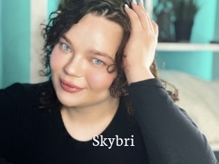Skybri