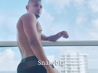 Snakebig