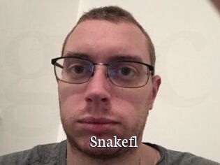 Snakefl