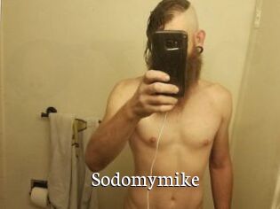 Sodomymike