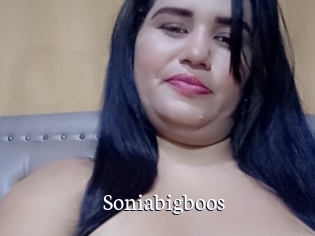 Soniabigboos