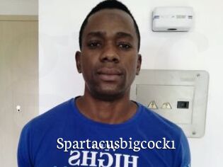 Spartacusbigcock1