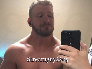 Streamguy8895