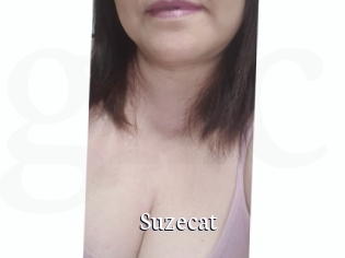 Suzecat