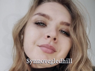 Synnovegledhill