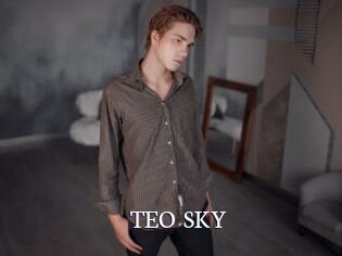 TEO_SKY