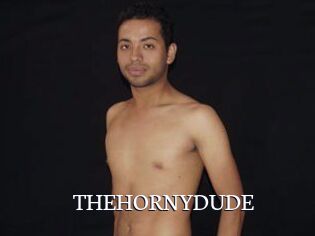 THEHORNYDUDE