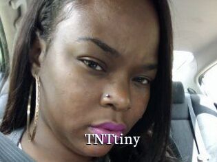 T_N_Ttiny