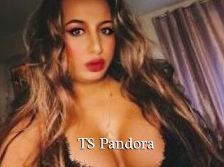 TS_Pandora