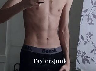 TaylorsJunk