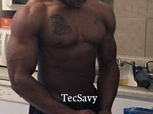 TecSavy
