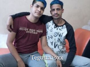 Tegusta29xx