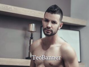 TeoBanner