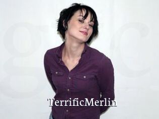 TerrificMerlin