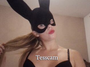 Tesscam