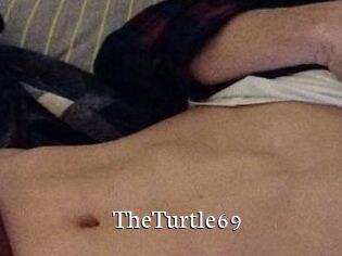 TheTurtle69