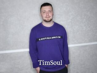 TimSoul
