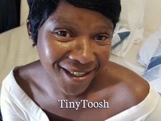 TinyToosh