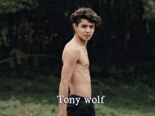 Tony_wolf