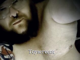 Toyservent