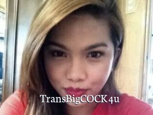 TransBigCOCK4u