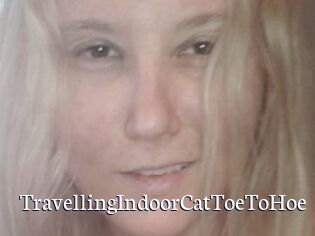 TravellingIndoorCatToeToHoe
