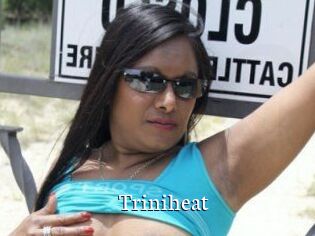 Triniheat